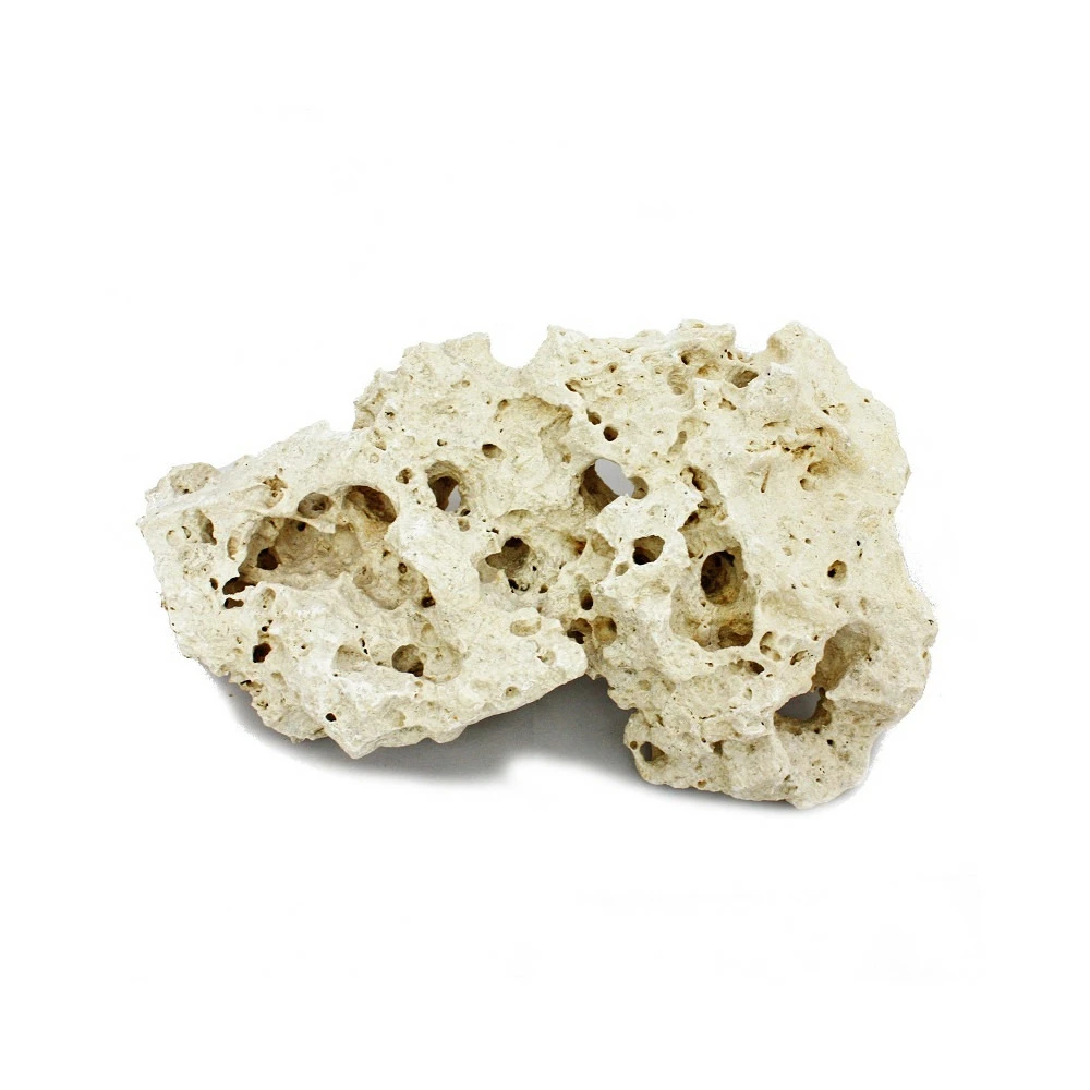 Jupe Zanzibar Taille Xl 23-30 Cm 1 Jupe Zanzibar Taille Xl 23-30 Cm