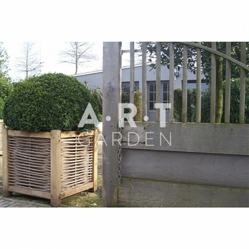 Jardinière En Chêne Avec Tressage Noisetier - Avec Bac Intérieur - 60 X 60 X 60 Cm 4 Jardinière En Chêne Avec Tressage Noisetier - Avec Bac Intérieur - 60 X 60 X 60 Cm – Image 4