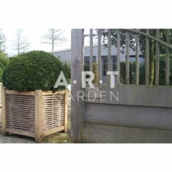Jardinière En Chêne Avec Tressage Noisetier - Avec Bac Intérieur - 80 X 80 X 80 Cm -Promos Jardesia Magasin 64651e95141251.08931156