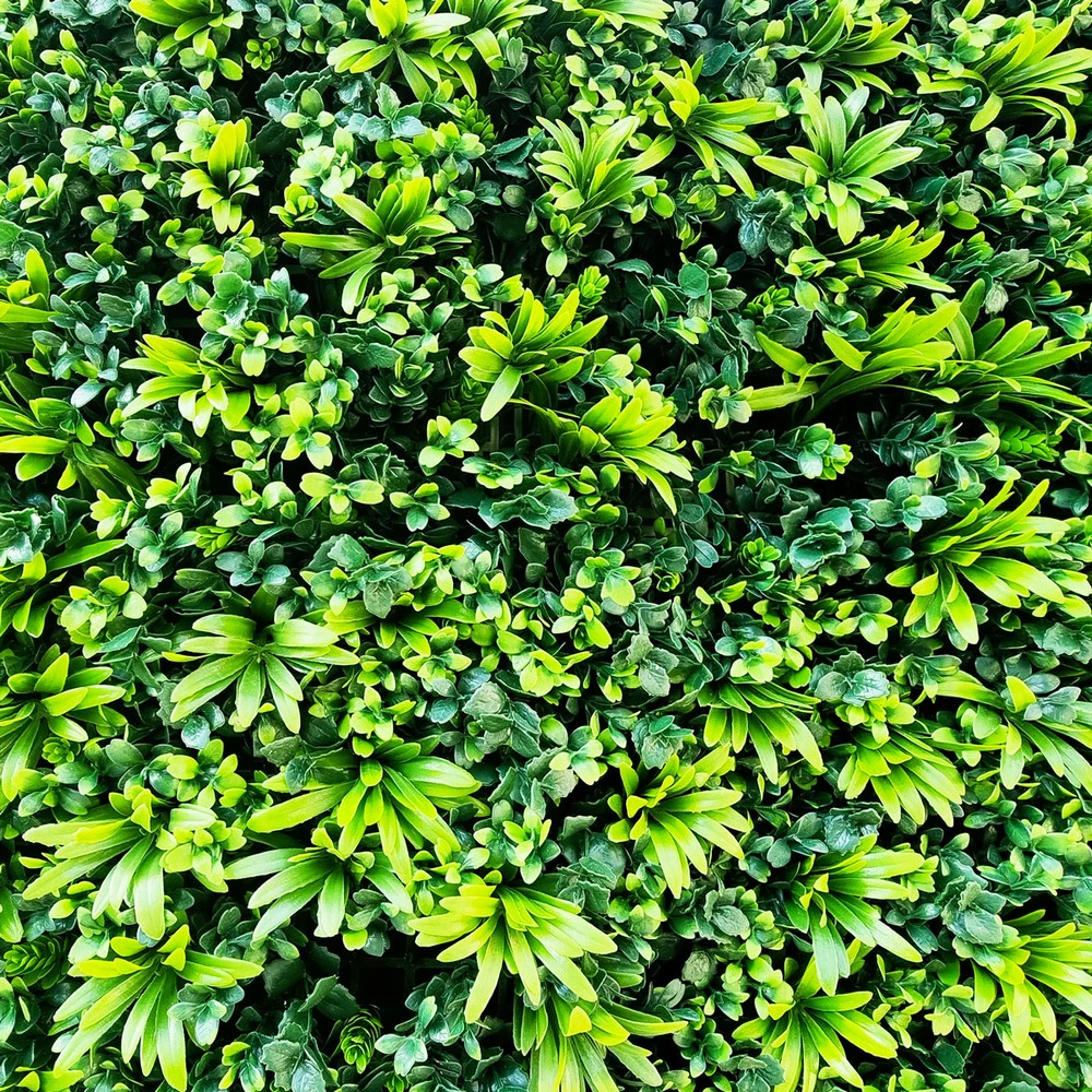 Feuillage Artificiel Verdure Prix/m² 1 Feuillage Artificiel Verdure Prix/m²