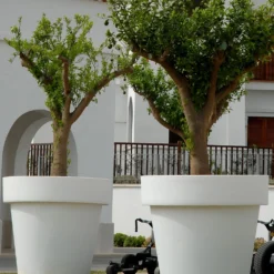 Pot De Fleurs Magnolia 160 ø160x152cm - Anthracite 5 Pot De Fleurs Magnolia 160 ø160x152cm - Anthracite -Promos Jardesia Magasin 6470a364705c04.06641420