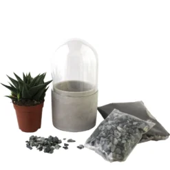 Mini Kit Terrarium Succulente Vert