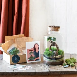 Kit Terrarium Diy - Napoli