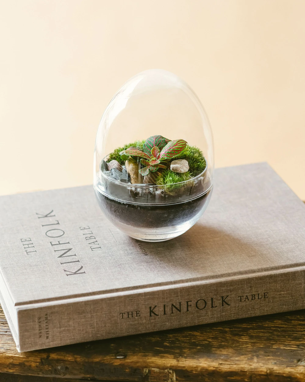 Kit Terrarium Diy - Mini Bohol 1 Kit Terrarium Diy - Mini Bohol