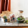 Kit Terrarium Diy - Noumea