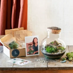Kit Terrarium Diy - Noumea