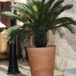 Pot De Fleurs Gerbera ø50x59,5cm - Couleur Terracota -Promos Jardesia Magasin 6478c7f37132f4.43209447