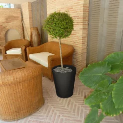 Pot De Fleurs Gerbera ø50x59,5cm - Anthracite 5 Pot De Fleurs Gerbera ø50x59,5cm - Anthracite -Promos Jardesia Magasin 6478c7f4b074b2.90633905