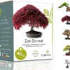 Mini Kit Prêt à Pousser Bonsai