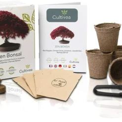 Promos Jardesia Magasin -Promos Jardesia Magasin 6478c8125df364.17026791