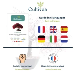 Mini Kit Prêt à Pousser Bonsai -Promos Jardesia Magasin 6478c81275c5b5.98218045