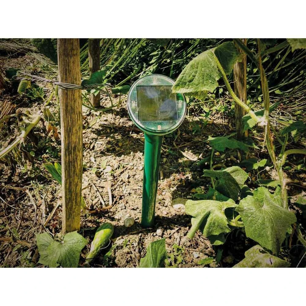 Répulsif Rongeur Sur Secteur 15m² 5 Répulsif Rongeur Sur Secteur 15m² – Image 5