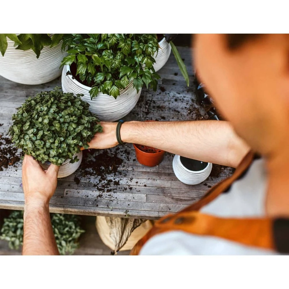 Ensemble De Pot De Fleurs Boule Nature Rib Ivoire 4 Ensemble De Pot De Fleurs Boule Nature Rib Ivoire – Image 4