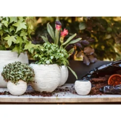 Ensemble De Pot De Fleurs Boule Nature Rib Ivoire 6 Ensemble De Pot De Fleurs Boule Nature Rib Ivoire -Promos Jardesia Magasin 64798958102562.13059952