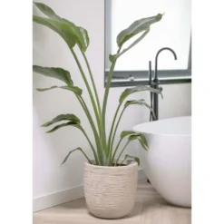 Pot à Fleurs Waste Rib 43x41 Cm Beige Terrazzo -Promos Jardesia Magasin 6479895e5992f2.75165785