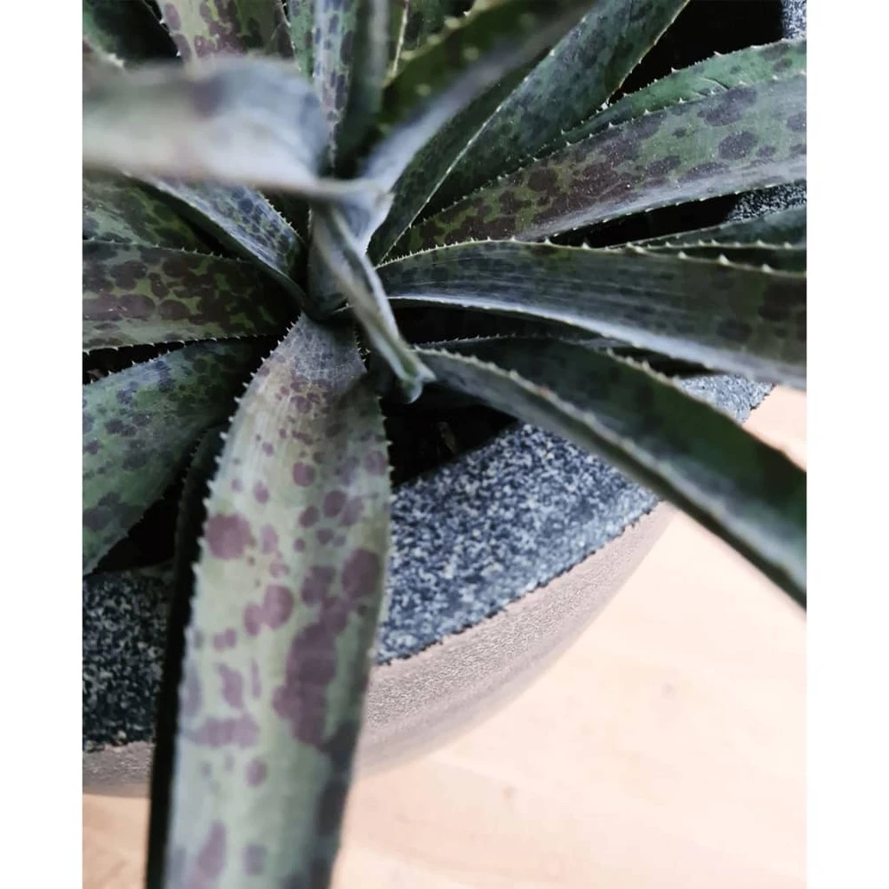 Pot à Fleurs Waste Smooth 35x34 Cm Gris 7 Pot à Fleurs Waste Smooth 35x34 Cm Gris – Image 7