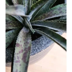 Pot à Fleurs Waste Smooth 43x41 Cm Gris -Promos Jardesia Magasin 6479896195b644.79787079