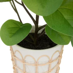 ATMOSPHERA Plante Artificielle Dans Pot En Céramique Et Rotin H 34 Cm -Promos Jardesia Magasin 64821b77f1afd7.11595530