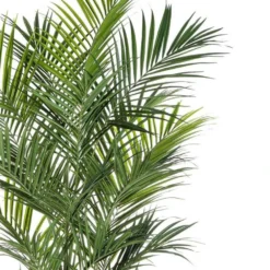 Palmier Kentia Artificiel Deluxe H 260 Cm 766 Feuilles -Promos Jardesia Magasin 6482c3b09df097.76581427
