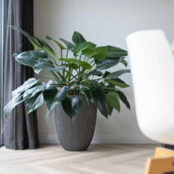 Vase élégant Groove 46x58 Cm Anthracite -Promos Jardesia Magasin 6482c45ae14806.82498096