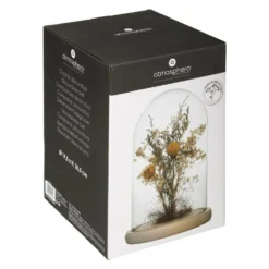 Fleurs Séchées Sous Cloche "folk" H26 Cm -Promos Jardesia Magasin 6483186c0e8e23.93473493