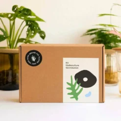 Coffret De Germination -Promos Jardesia Magasin 64871012cf5773.36527871