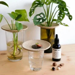 Coffret De Germination -Promos Jardesia Magasin 64871012d300e2.81641891