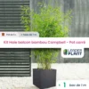 Kit Bambou Campbell En Pot De 5 L Avec Bac Pour Balcon