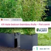 Kit Bambou Rufa En Pot De 5 L Avec Bac Pour Balcon
