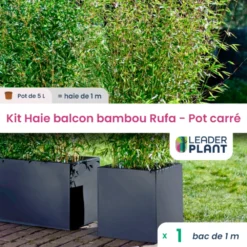 Kit Bambou Rufa En Pot De 5 L Avec Bac Pour Balcon