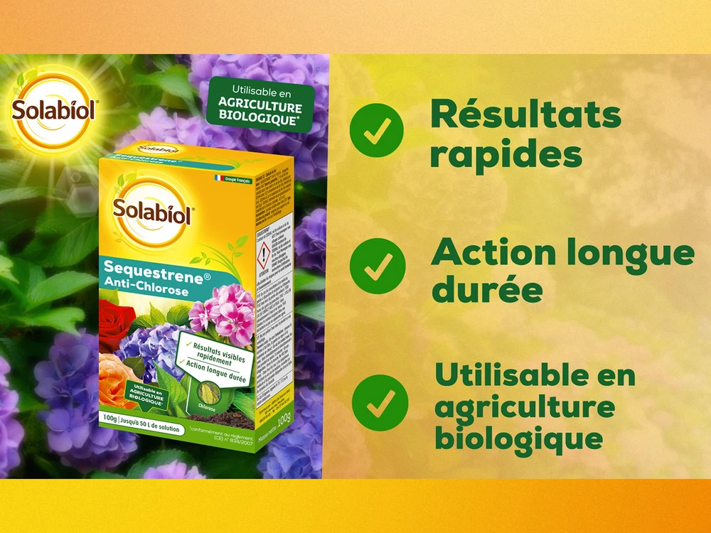 Solabiol Soseq01 | Sequestrene Antichlorose 100g | Action Longue Durée | Fabriq 2 Solabiol Soseq01 | Sequestrene Antichlorose 100g | Action Longue Durée | Fabriq – Image 2