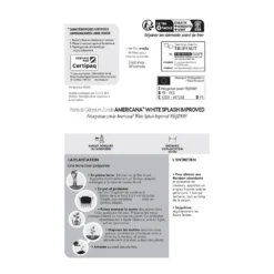 Géranium Zonale Americana® White Splash Improved'Label Rouge:10 Plants -Promos Jardesia Magasin 697188 1761607