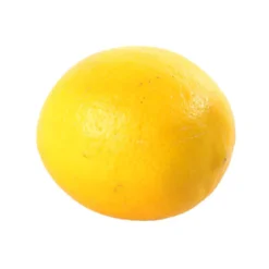 Citronnier X Meyer : AB C3L 9 Citronnier X Meyer : AB C3L -Promos Jardesia Magasin 697337 007