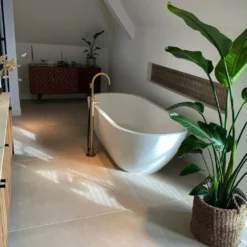 Strelitzia Nicolai Xxl - H180cm, ø24cm - Très Grande Plante D'intérieur -Promos Jardesia Magasin 6d77142b60f1d341