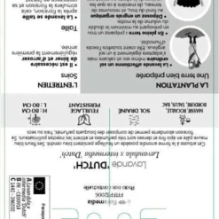 Lavande X Intermedia Dutch Lavander Pot 3L 6 Lavande X Intermedia Dutch Lavander Pot 3L -Promos Jardesia Magasin 739237 002