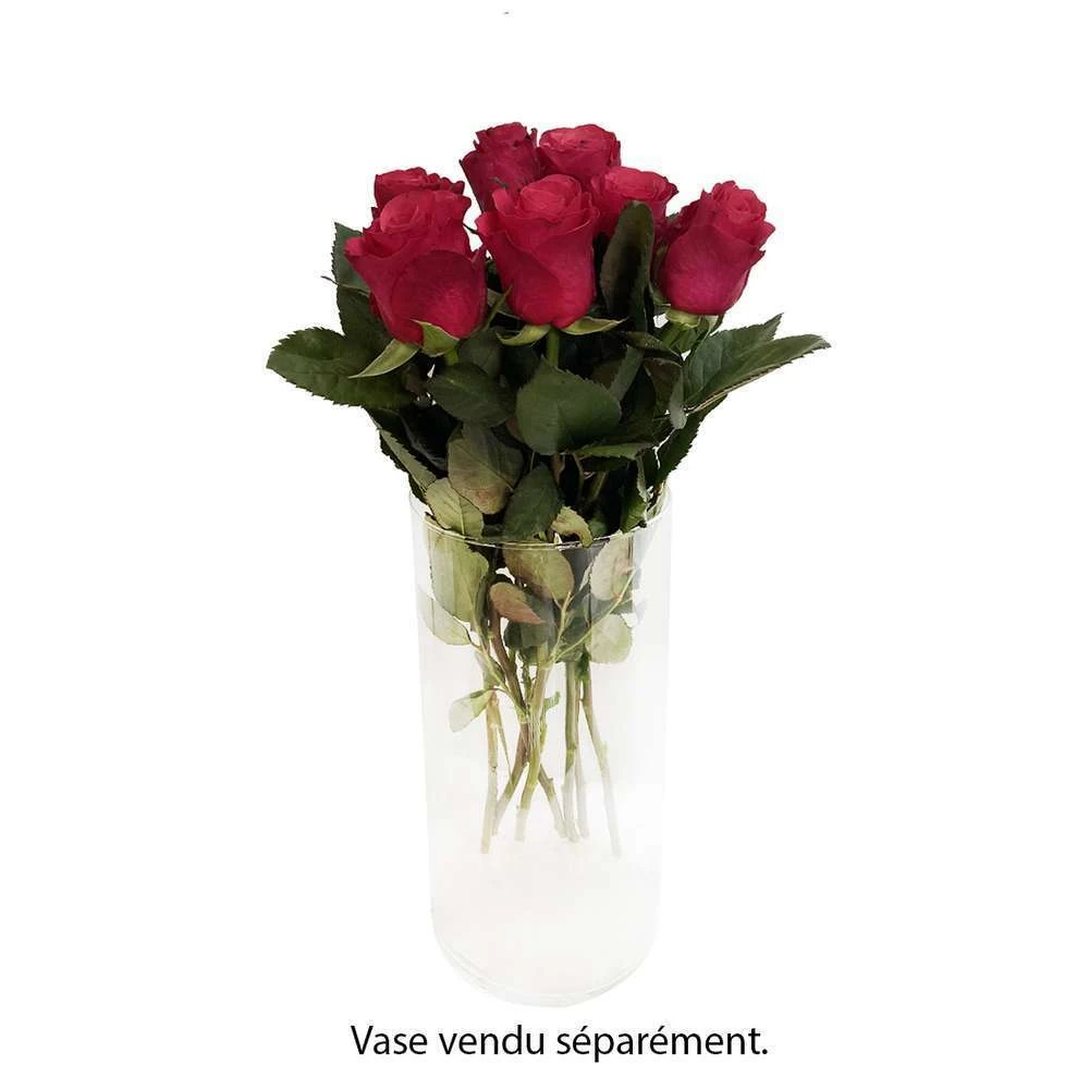 Botte De 7 Roses Rhodos Rouges 2 Botte De 7 Roses Rhodos Rouges – Image 2