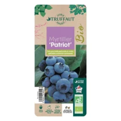 Myrtillier 'Patriot' Bio : Pot De 1,5 Litres -Promos Jardesia Magasin 791605 005