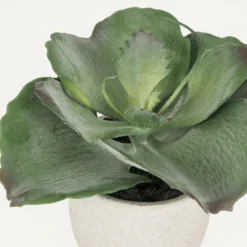 Succulente Artificielle Pot Effet Ciment 17cm -Promos Jardesia Magasin 7c639e557cc4fdd4