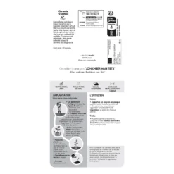 Groseillier à Grappes 'Jonkheer Van Tets' Bio: Pot 1,5 Litres -Promos Jardesia Magasin 827044 1766998