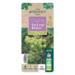 Vigne 'Seyval Blanc' AB - Pot 1,5 L -Promos Jardesia Magasin 827056 002