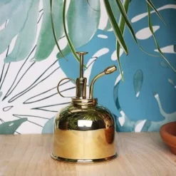 Vaporisateur En Laiton Doré Pour Plantes D'intérieur 7 Vaporisateur En Laiton Doré Pour Plantes D'intérieur -Promos Jardesia Magasin 829216 001