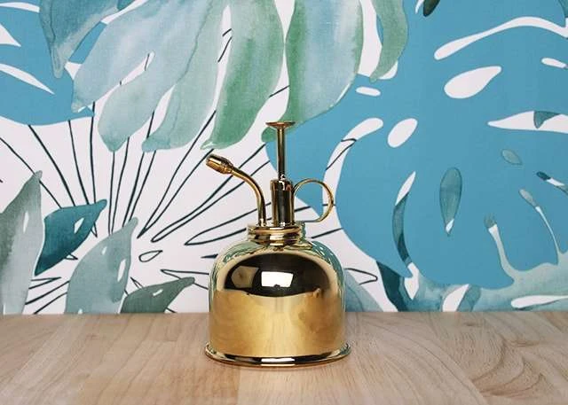 Vaporisateur En Laiton Doré Pour Plantes D'intérieur 4 Vaporisateur En Laiton Doré Pour Plantes D'intérieur – Image 4
