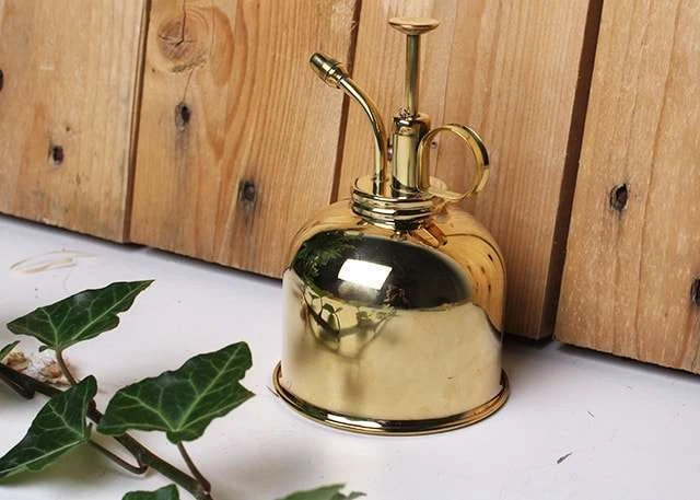 Vaporisateur En Laiton Doré Pour Plantes D'intérieur 1 Vaporisateur En Laiton Doré Pour Plantes D'intérieur
