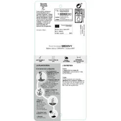 Framboisier Groovy®'Jdeboer005':pot 5L 9 Framboisier Groovy®'Jdeboer005':pot 5L -Promos Jardesia Magasin 831270 1432924