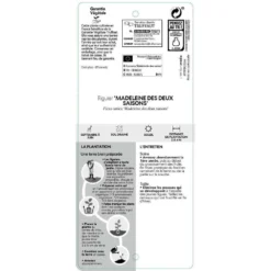 Figuier 'Madeleine Des 2 Saisons':pot 5L 5 Figuier 'Madeleine Des 2 Saisons':pot 5L -Promos Jardesia Magasin 831275 002