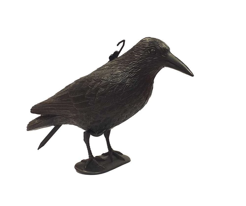 Corbeau Effaroucheur Oiseaux 1 Corbeau Effaroucheur Oiseaux