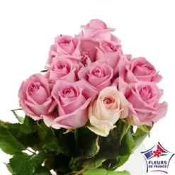 Botte 10 Roses ''Fleurs De France'' H.50cm Coloris Variables -Promos Jardesia Magasin 907464 003