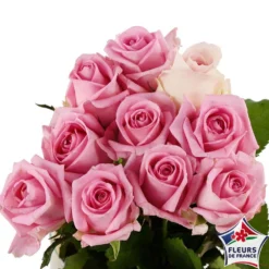 Botte 10 Roses ''Fleurs De France'' H.50cm Coloris Variables -Promos Jardesia Magasin 907464 004
