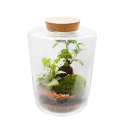 Promos Jardesia Magasin -Promos Jardesia Magasin 951230 002