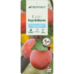 Kaki 'Rouge Brillant 1/2T Pot 15L -Promos Jardesia Magasin 952752 002